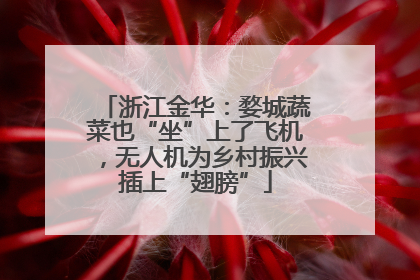 浙江金华：婺城蔬菜也“坐”上了飞机，无人机为乡村振兴插上“翅膀”