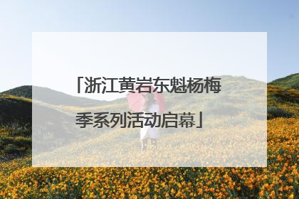 浙江黄岩东魁杨梅季系列活动启幕