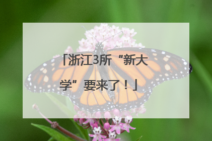 浙江3所“新大学”要来了！