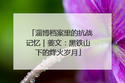 淄博档案里的抗战记忆｜姜文：黑铁山下的烽火岁月