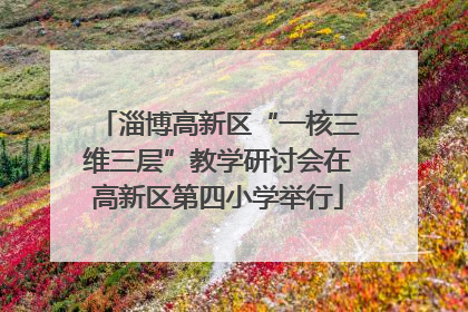 淄博高新区“一核三维三层”教学研讨会在高新区第四小学举行