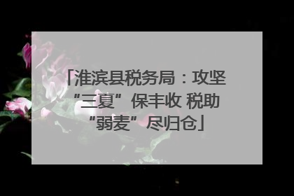 淮滨县税务局：攻坚“三夏”保丰收 税助“弱麦”尽归仓