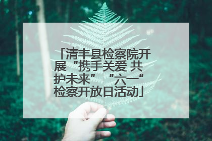 清丰县检察院开展“携手关爱 共护未来”“六一”检察开放日活动