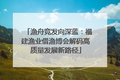 渔舟竞发向深蓝：福建渔业借渔博会解码高质量发展新路径