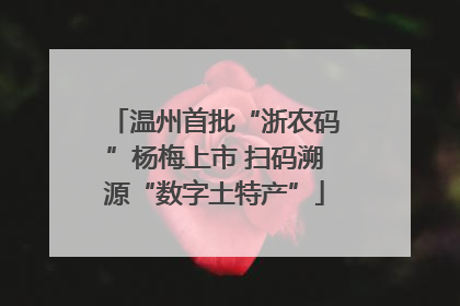温州首批“浙农码”杨梅上市 扫码溯源“数字土特产”
