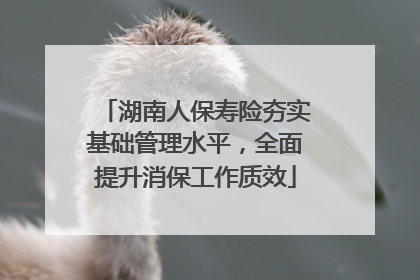 湖南人保寿险夯实基础管理水平，全面提升消保工作质效