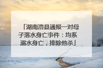 湖南澧县通报一对母子落水身亡事件：均系溺水身亡，排除他杀