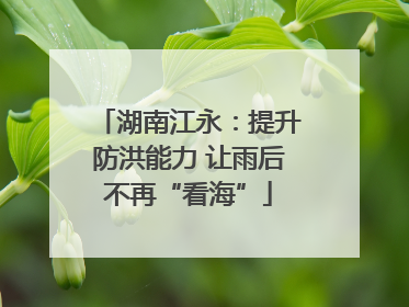 湖南江永：提升防洪能力 让雨后不再“看海”