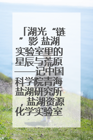 湖光“链”影 盐湖实验室里的星辰与荒原——记中国科学院青海盐湖研究所，盐湖资源化学实验室党总支书记、副主任刘忠