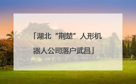 湖北“荆楚”人形机器人公司落户武昌