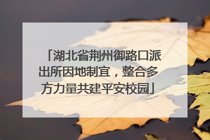 湖北省荆州御路口派出所因地制宜，整合多方力量共建平安校园