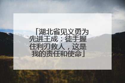 湖北省见义勇为先进王成：徒手握住利刃救人，这是我的责任和使命
