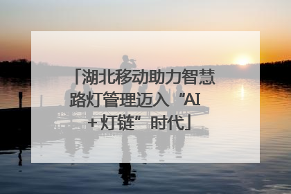 湖北移动助力智慧路灯管理迈入“AI＋灯链”时代