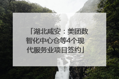 湖北咸安：美团数智化中心仓等4个现代服务业项目签约