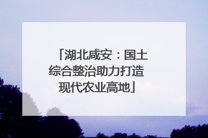 湖北咸安：国土综合整治助力打造现代农业高地