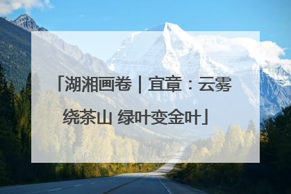 湖湘画卷｜宜章：云雾绕茶山 绿叶变金叶