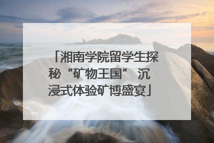 湘南学院留学生探秘“矿物王国” 沉浸式体验矿博盛宴
