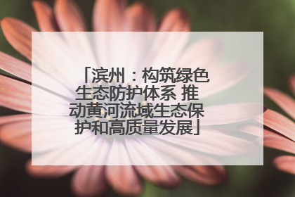 滨州：构筑绿色生态防护体系 推动黄河流域生态保护和高质量发展