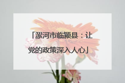 漯河市临颍县：让党的政策深入人心