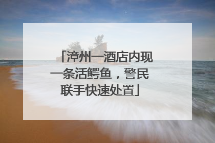 漳州一酒店内现一条活鳄鱼，警民联手快速处置
