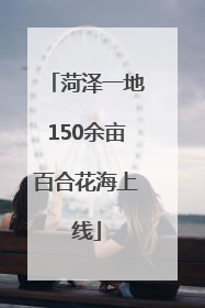 菏泽一地150余亩百合花海上线