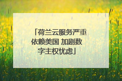 荷兰云服务严重依赖美国 加剧数字主权忧虑