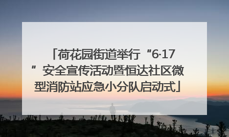 荷花园街道举行“6·17”安全宣传活动暨恒达社区微型消防站应急小分队启动式