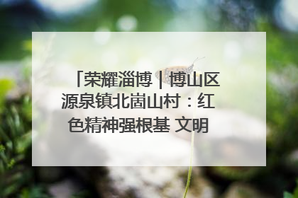 荣耀淄博｜博山区源泉镇北崮山村：红色精神强根基 文明新风润山乡