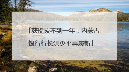 获提拔不到一年，内蒙古银行行长洪少平再履新