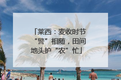 莱西：麦收时节“警”相随，田间地头护“农”忙