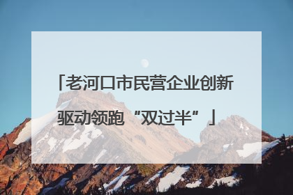 老河口市民营企业创新驱动领跑“双过半”