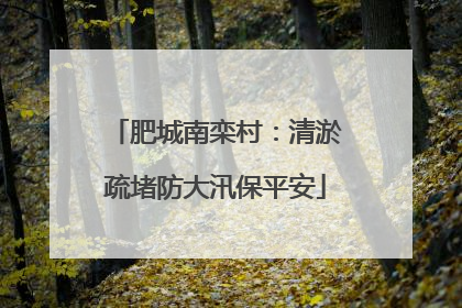肥城南栾村：清淤疏堵防大汛保平安