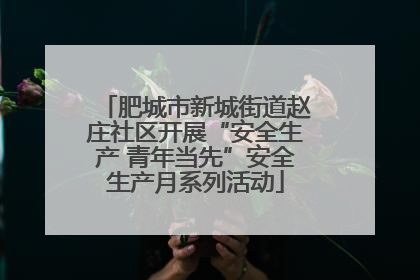 肥城市新城街道赵庄社区开展“安全生产 青年当先”安全生产月系列活动