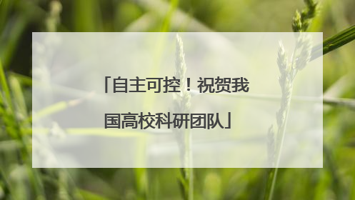 自主可控！祝贺我国高校科研团队