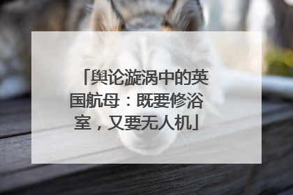 舆论漩涡中的英国航母：既要修浴室，又要无人机