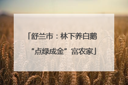 舒兰市：林下养白鹅 “点绿成金”富农家
