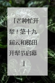 芒种忙开犁！第十九届云和梯田开犁节启幕
