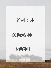 芒种：麦黄梅熟 种下希望