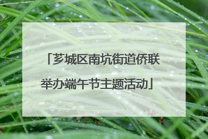 芗城区南坑街道侨联举办端午节主题活动