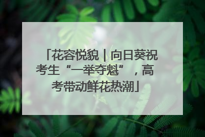 花容悦貌｜向日葵祝考生“一举夺魁”，高考带动鲜花热潮