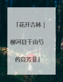 花开吉林｜柳河县千亩芍药竞芳菲