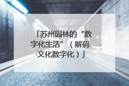 苏州园林的“数字化生活”（解码·文化数字化）