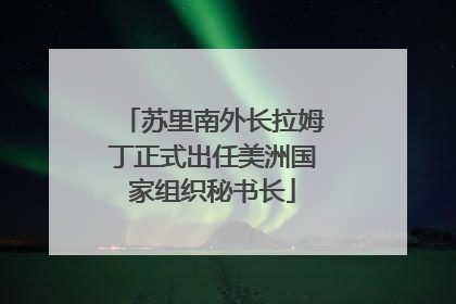 苏里南外长拉姆丁正式出任美洲国家组织秘书长