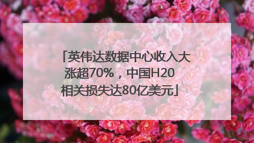 英伟达数据中心收入大涨超70%，中国H20相关损失达80亿美元
