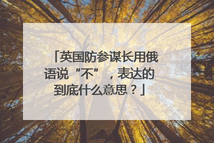 英国防参谋长用俄语说“不”，表达的到底什么意思？