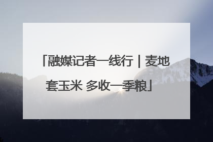 融媒记者一线行｜麦地套玉米 多收一季粮
