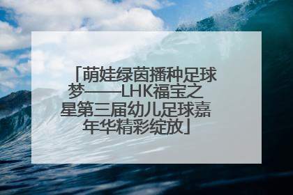 萌娃绿茵播种足球梦——LHK福宝之星第三届幼儿足球嘉年华精彩绽放