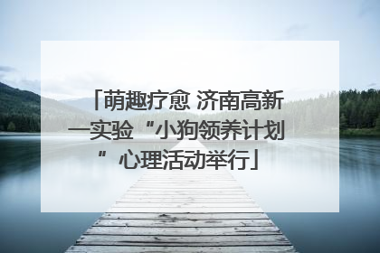 萌趣疗愈 济南高新一实验“小狗领养计划”心理活动举行