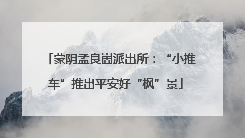 蒙阴孟良崮派出所：“小推车”推出平安好“枫”景