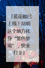 蓝花楹已上线！昆明这个地方化身“紫色梦境”，快来打卡